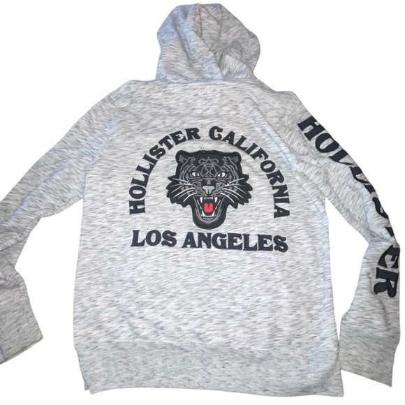 Hollister California Panther Los Angeles Men’s Hoodies Size Small Grey Blue VTG - Picture 2 of 7